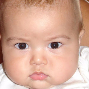 Meet your Posher, Sorrow?